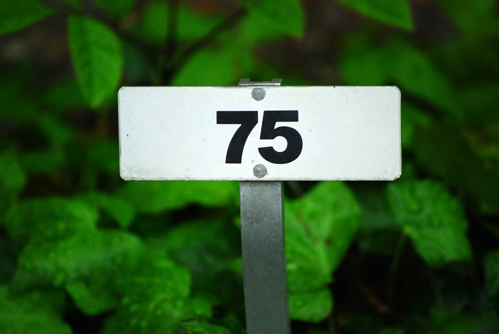 75 Basic What Is the 75 Hard Challenge and Is It Actually Good for Weight Loss?