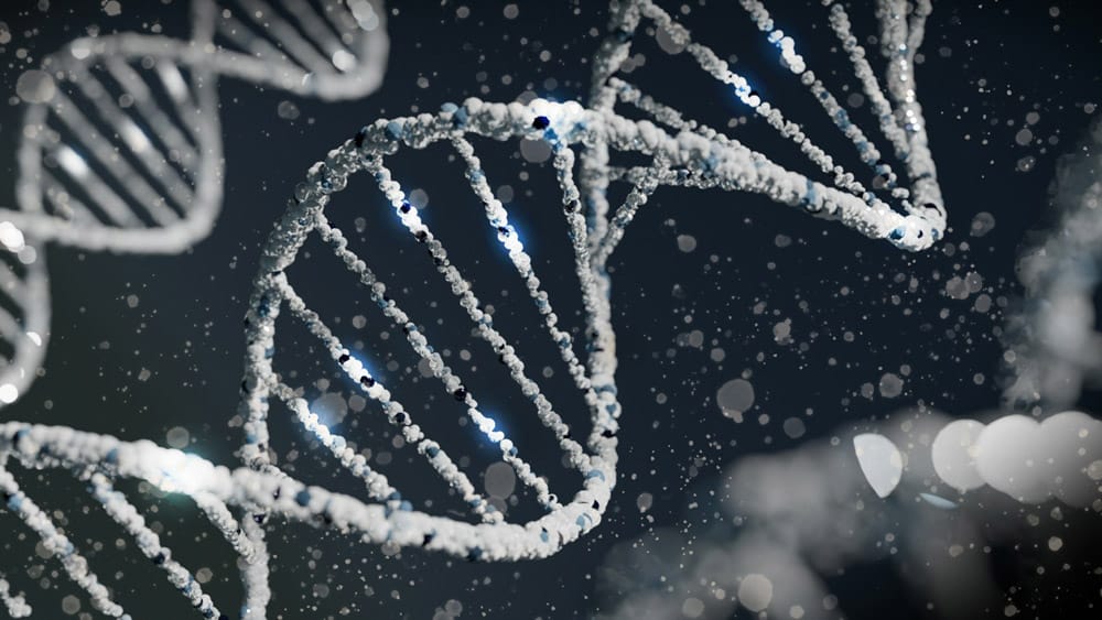 The Role of Genetic Testing in Personalizing Nutrition and Exercise Plans