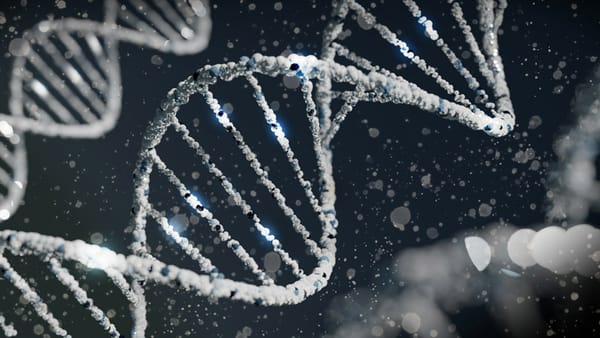 The Role of Genetic Testing in Personalizing Nutrition and Exercise Plans
